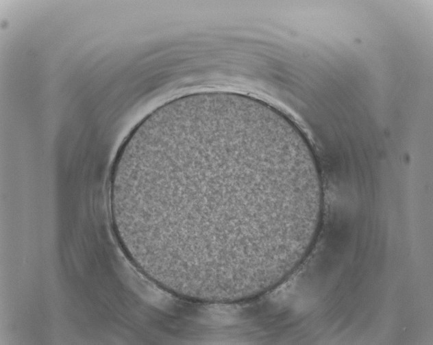 X0000072941514200608111547