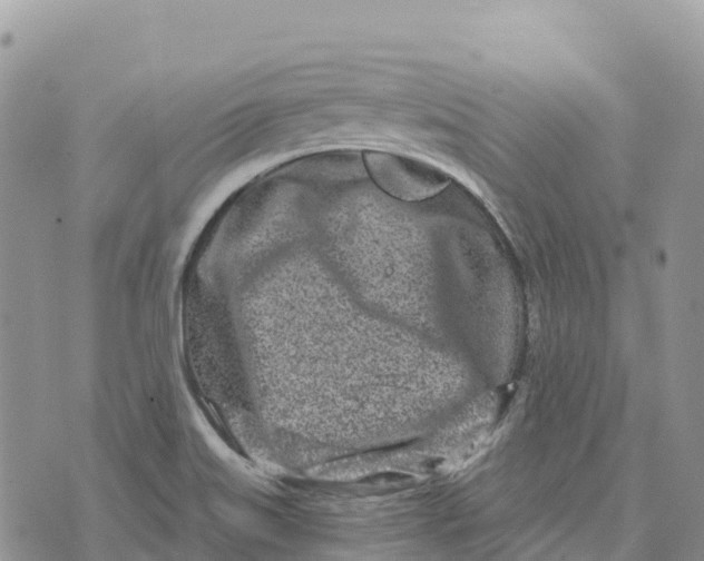 X0000072941515200608111547