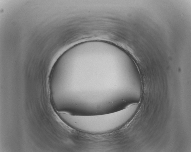 X0000072941516200608111547