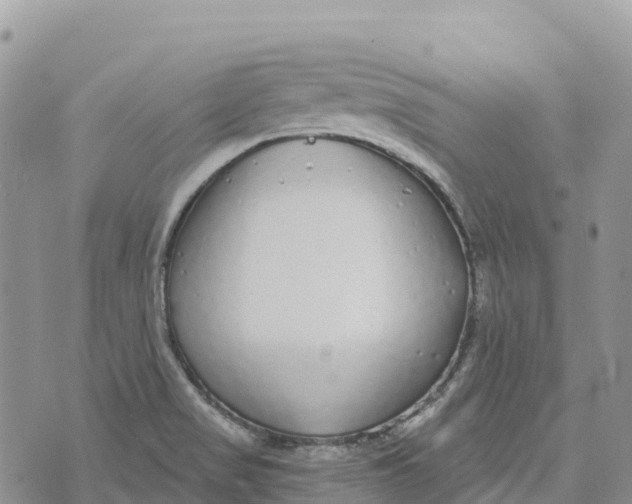 X0000072941517200608111547