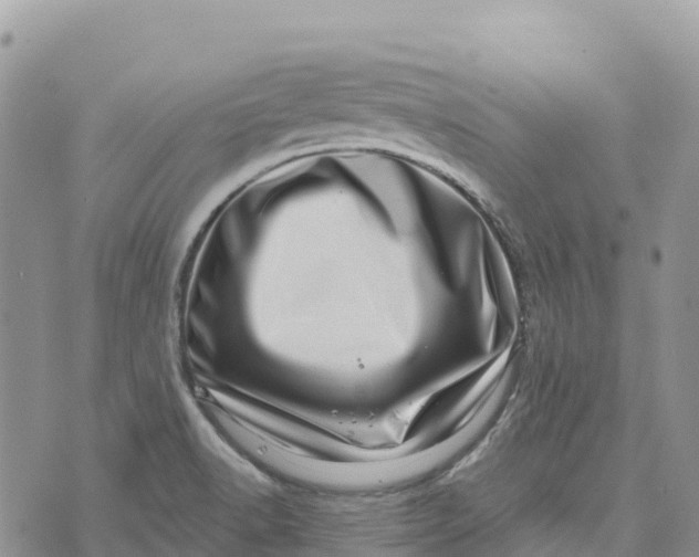 X0000072941518200608111547