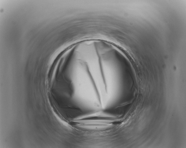 X0000072941519200608111547