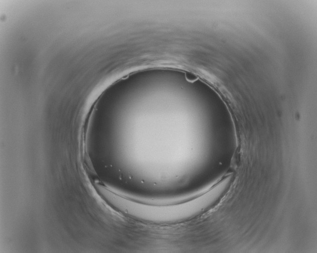 X0000072941520200608111547