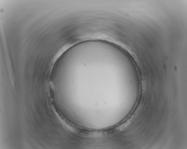 X0000072941521200608111547