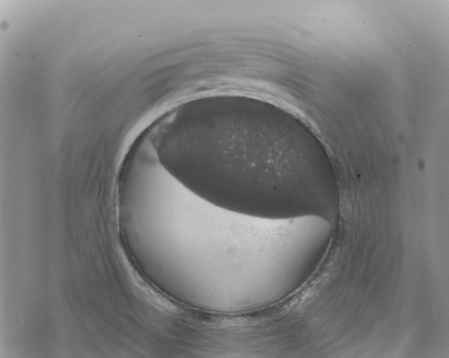 X0000072941522200608111547