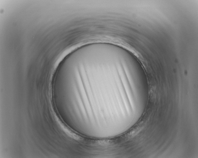 X0000072941523200608111547