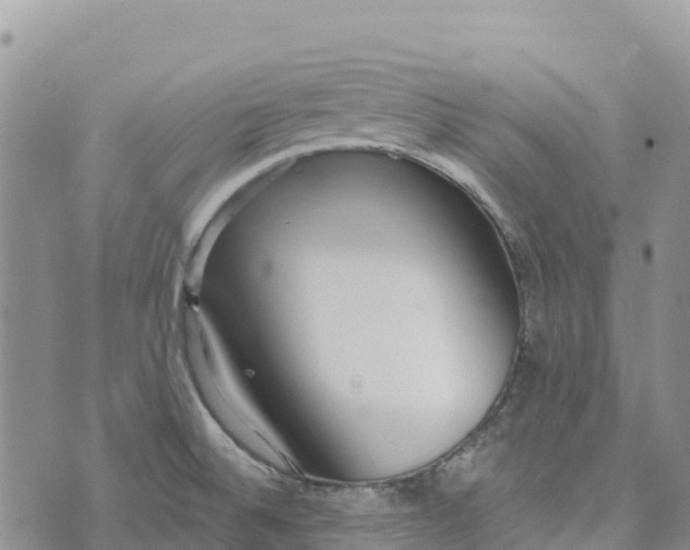 X0000072941524200608111548