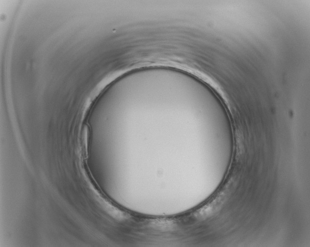 X0000072941525200608111548