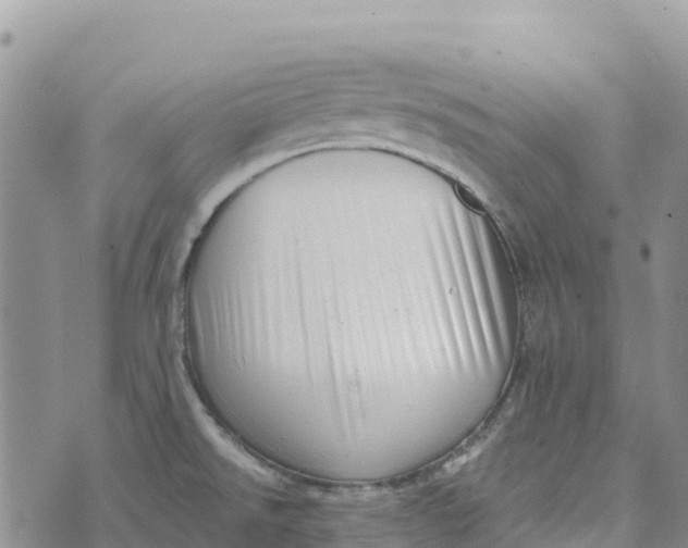 X0000072941526200608111548