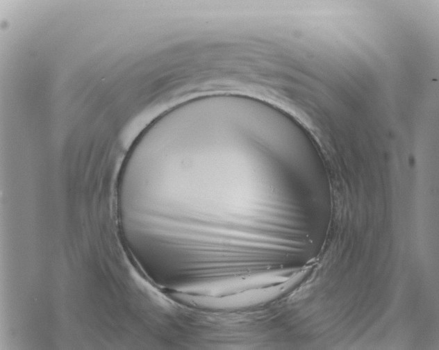 X0000072941527200608111548