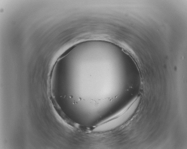 X0000072941528200608111548