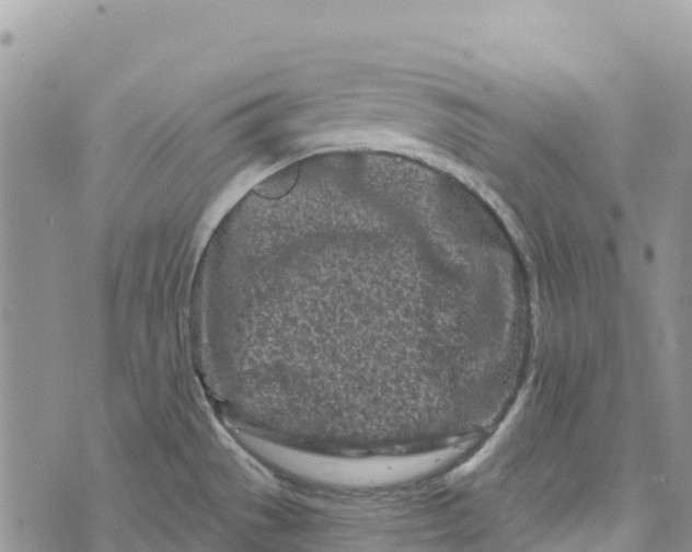 X0000072941529200608111548