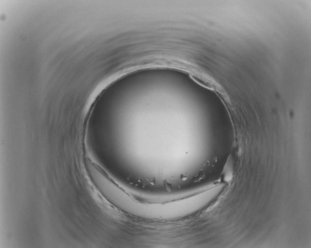 X0000072941530200608111548