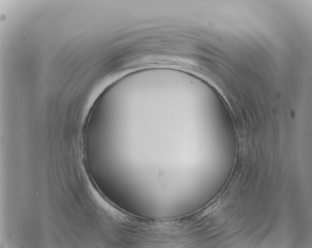 X0000072941531200608111548