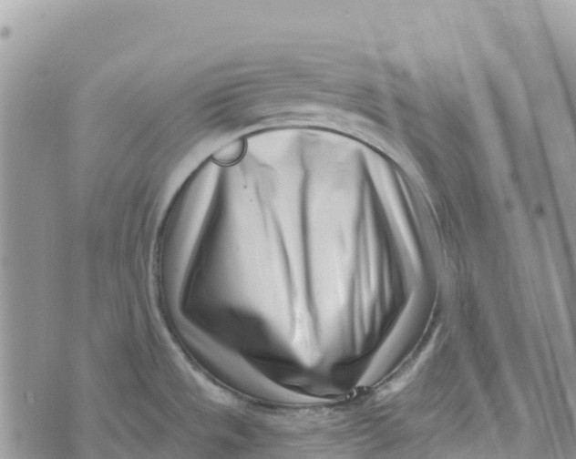 X0000072941533200608111548