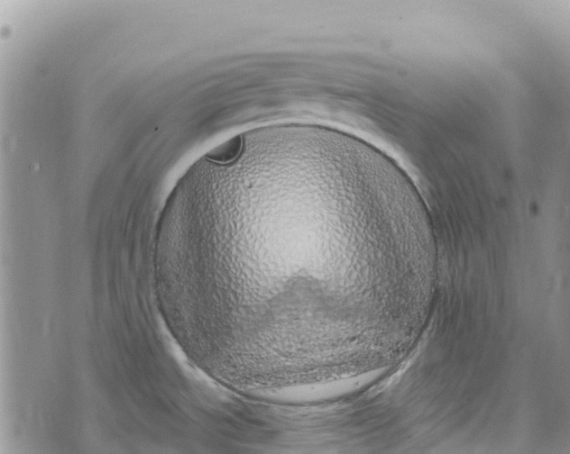 X0000072941534200608111548