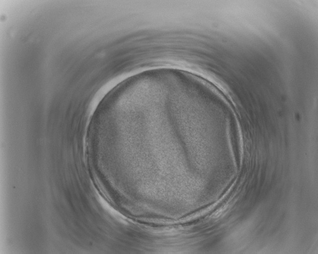 X0000072941535200608111548