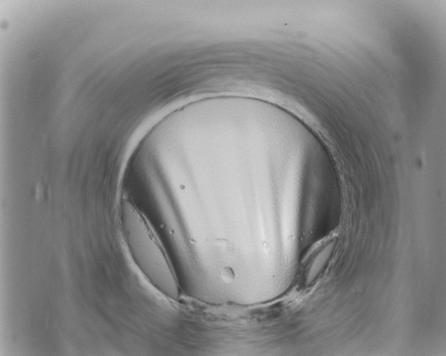 X0000072941536200608111548