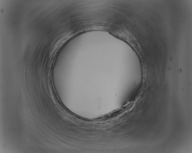 X0000072940001200608181353