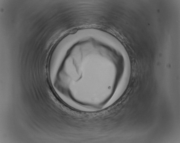 X0000072940002200608181353