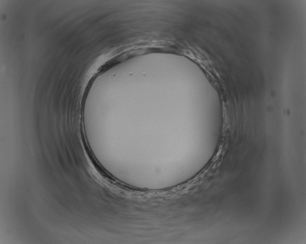 X0000072940003200608181352