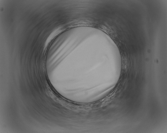 X0000072940004200608181352