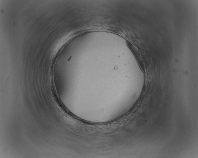 X0000072940005200608181352