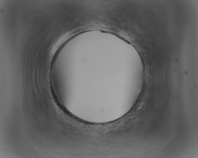 X0000072940007200608181352