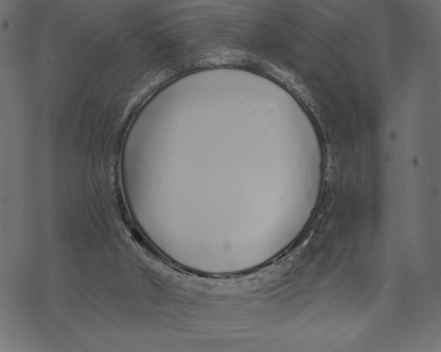 X0000072940010200608181352