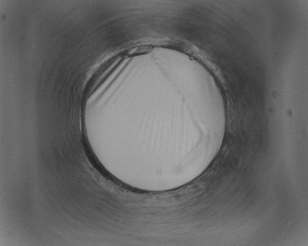 X0000072940011200608181352