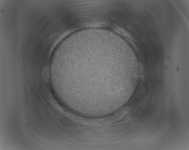 X0000072940012200608181352