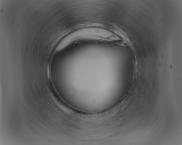 X0000072940013200608181352