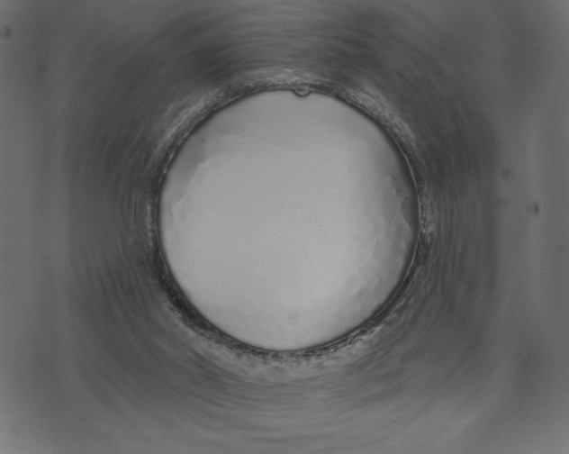 X0000072940014200608181352