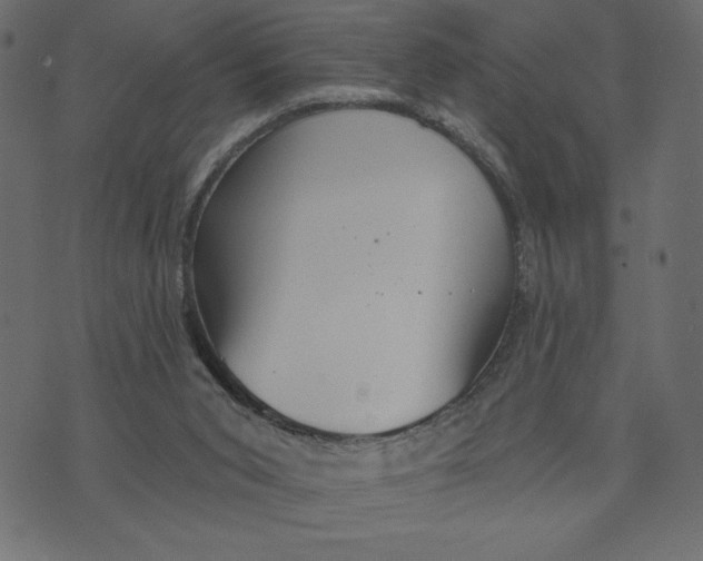 X0000072940015200608181352