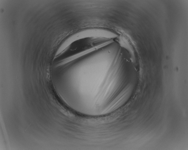 X0000072940017200608181352