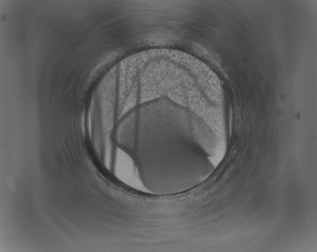 X0000072940019200608181352