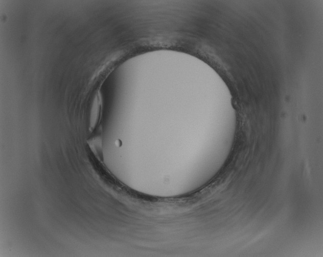 X0000072940020200608181352