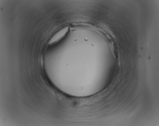 X0000072940021200608181352