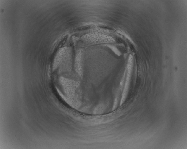 X0000072940023200608181352