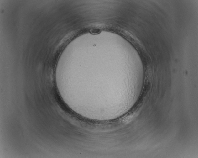 X0000072940024200608181352