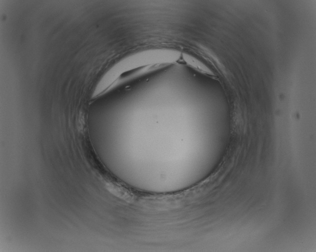 X0000072940025200608181352