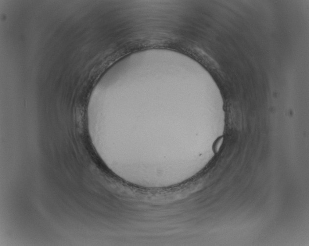 X0000072940026200608181352