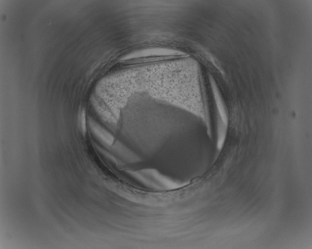 X0000072940027200608181352