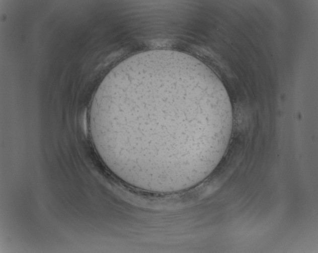 X0000072940028200608181352