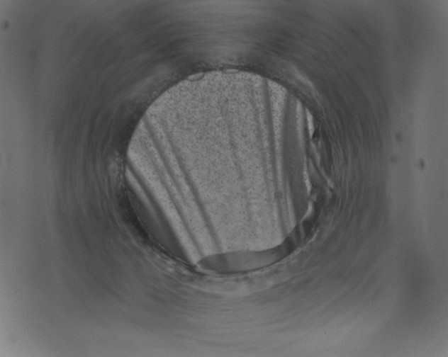 X0000072940029200608181352