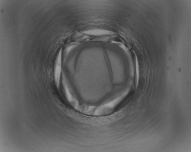 X0000072940031200608181352