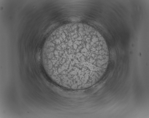 X0000072940032200608181352