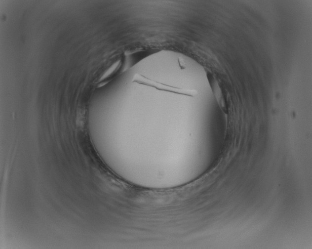 X0000072940033200608181352