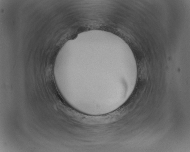 X0000072940034200608181352