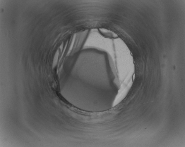 X0000072940035200608181352